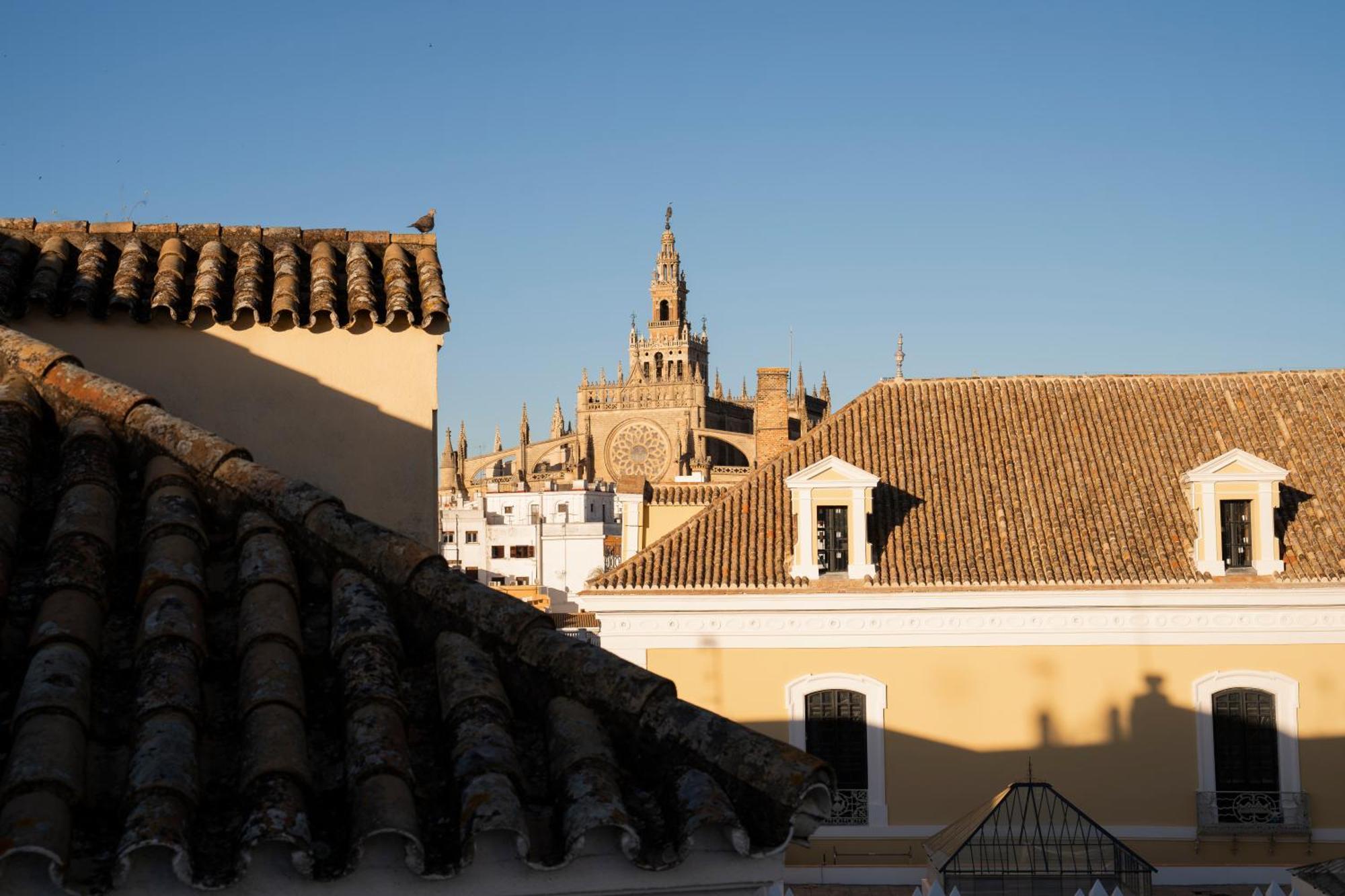Petite California Dos De Mayo Sevilha
